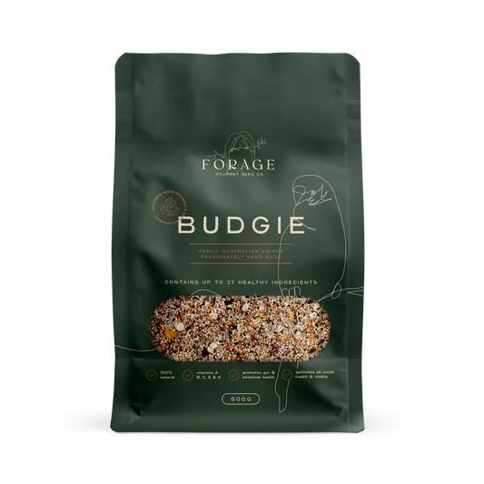 Forage Gourmet Budgie