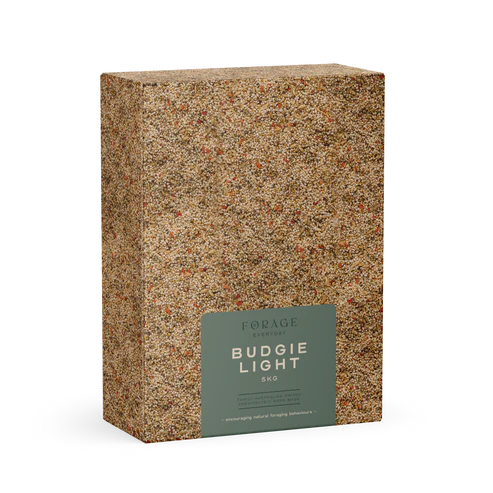 Forage Everyday Budgie Light
