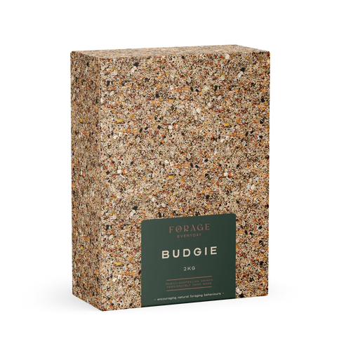 Forage Everyday Budgie