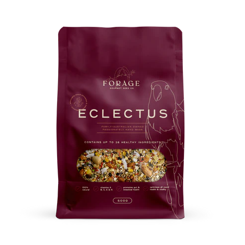 Forage Gourmet Eclectus