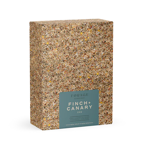 Forage Everyday Finch & Canary