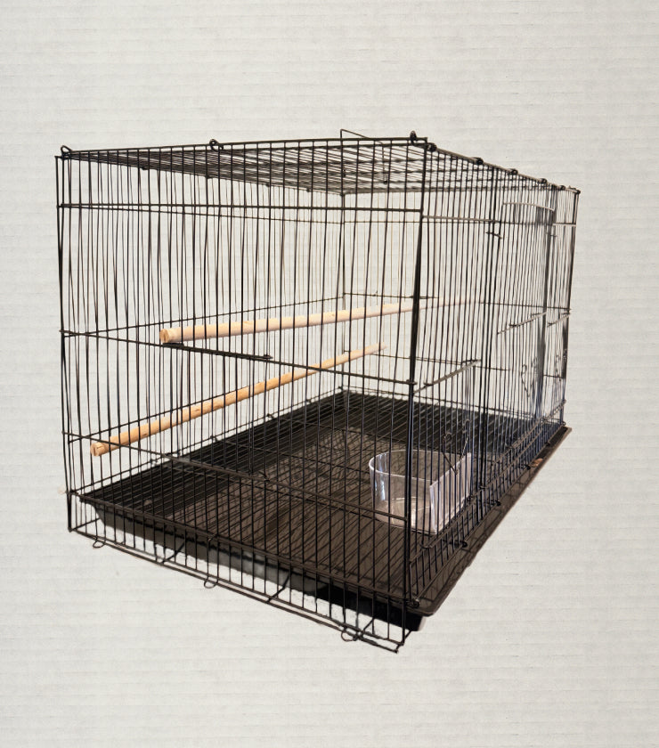 Flight Cage