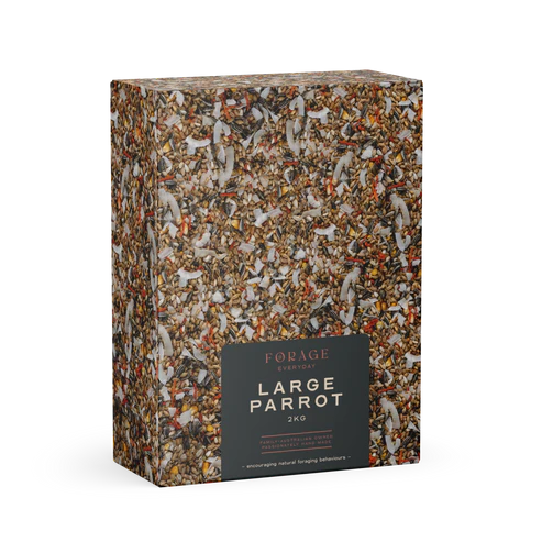 Forage Everyday Large Parrot