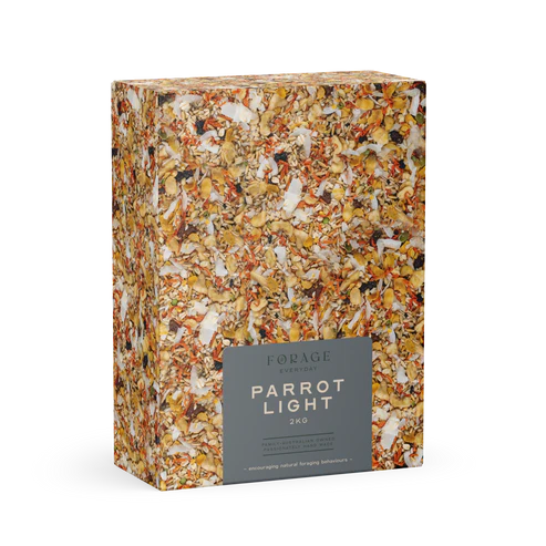 Forage Everyday Parrot Light