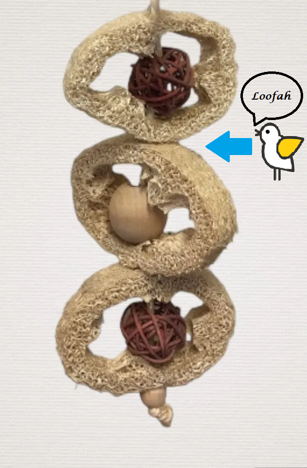 Natural Loofah Rings