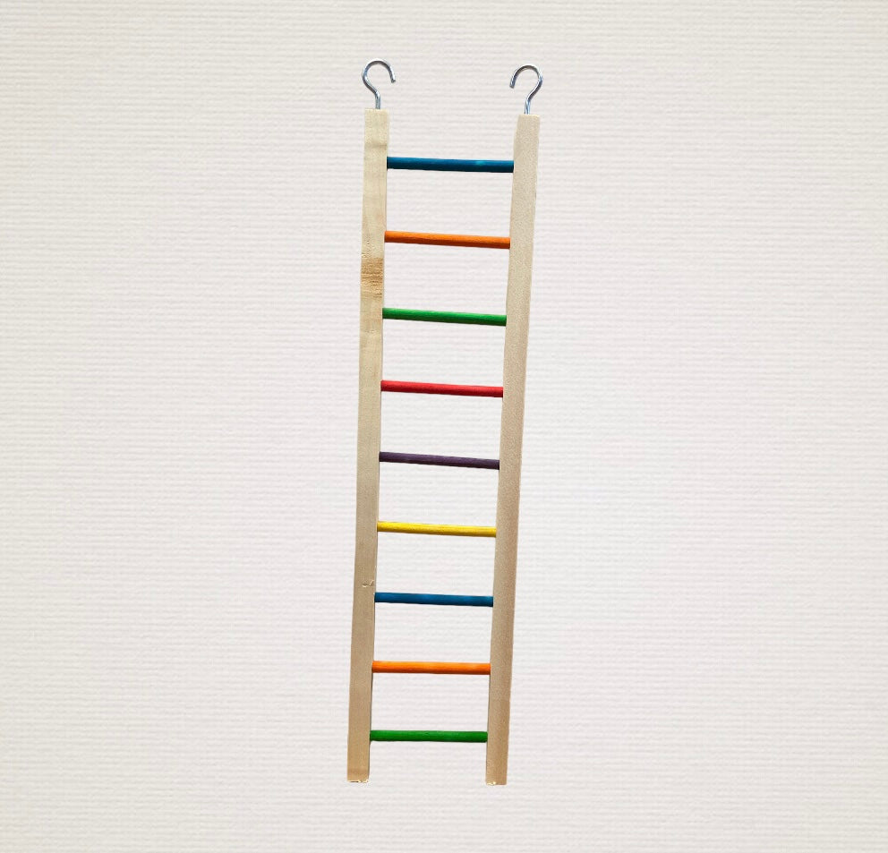 Coloured Ladder