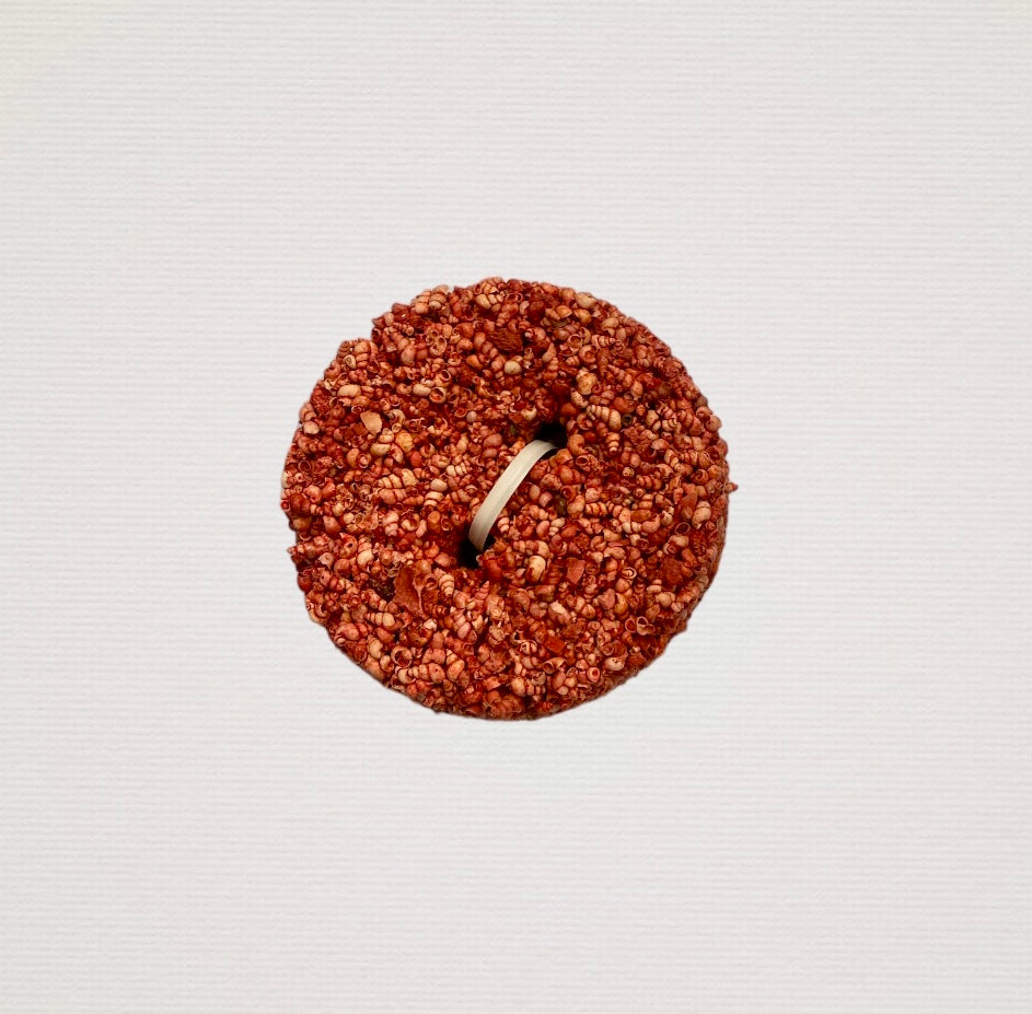 Iodine Shell Grit Button