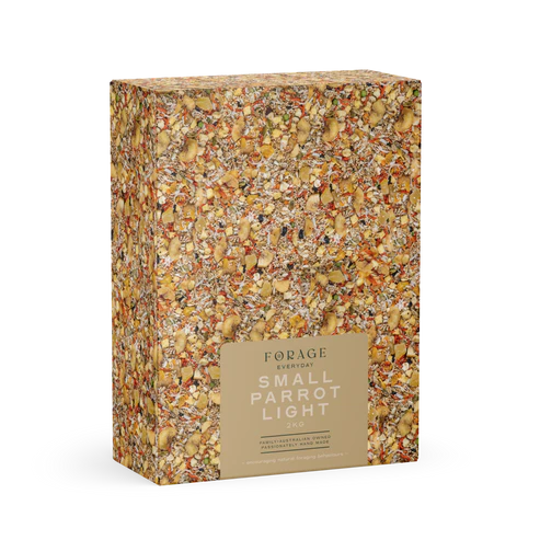 Forage Everyday Small Parrot Light