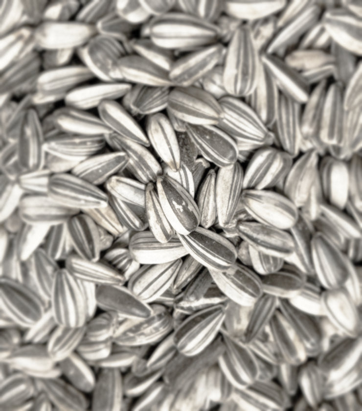 Sunflower Seeds