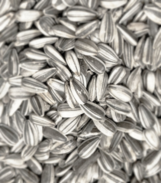 Sunflower Seeds