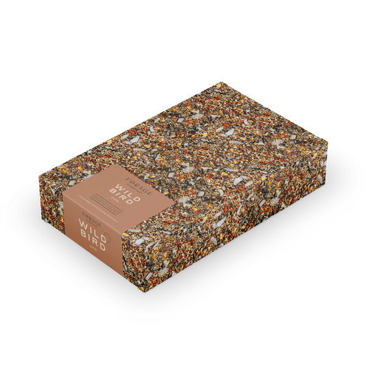 Forage Everyday Wild Bird