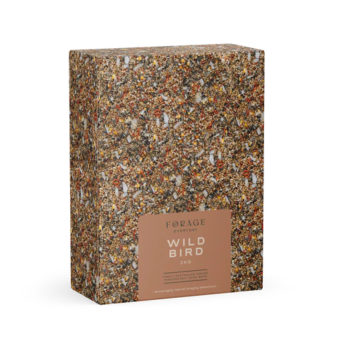 Forage Everyday Wild Bird