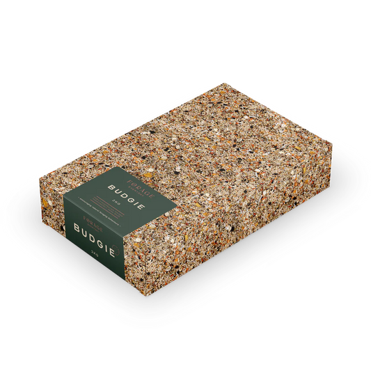 Forage Everyday Budgie