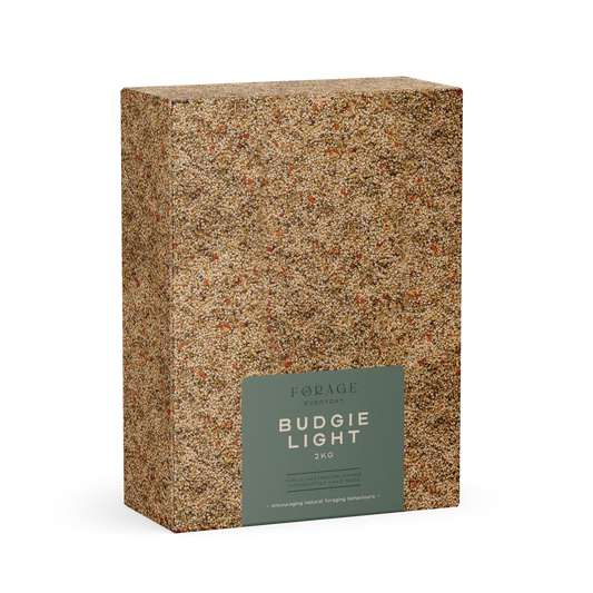 Forage Everyday Budgie Light