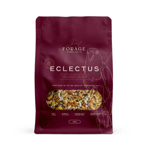 Forage Gourmet Eclectus