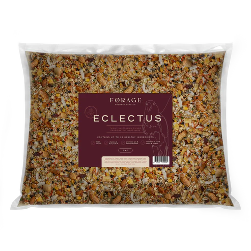 Forage Gourmet Eclectus