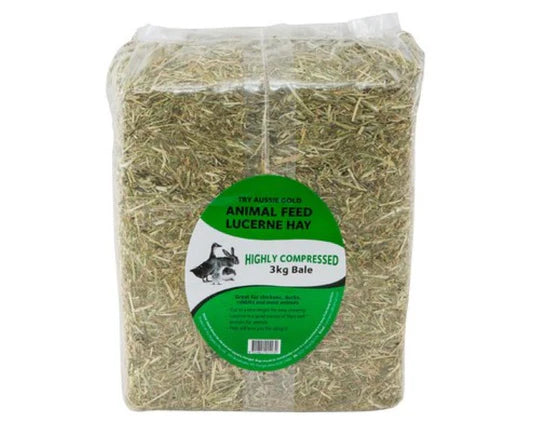 Lucerne Hay