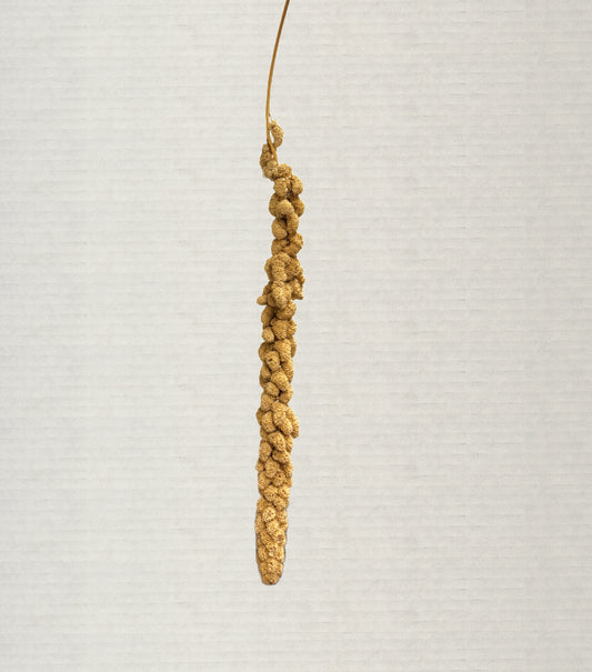 Millet
