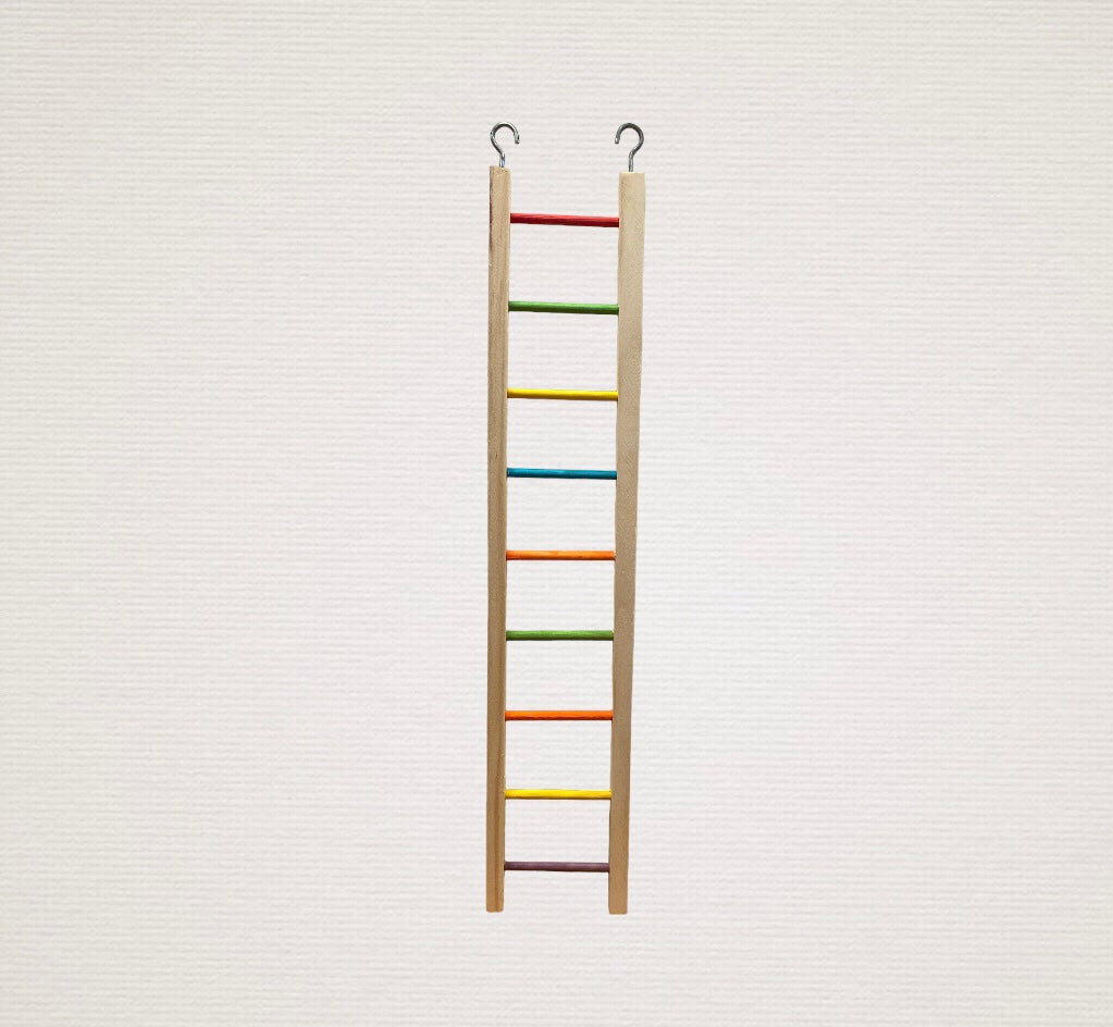 Coloured Ladder