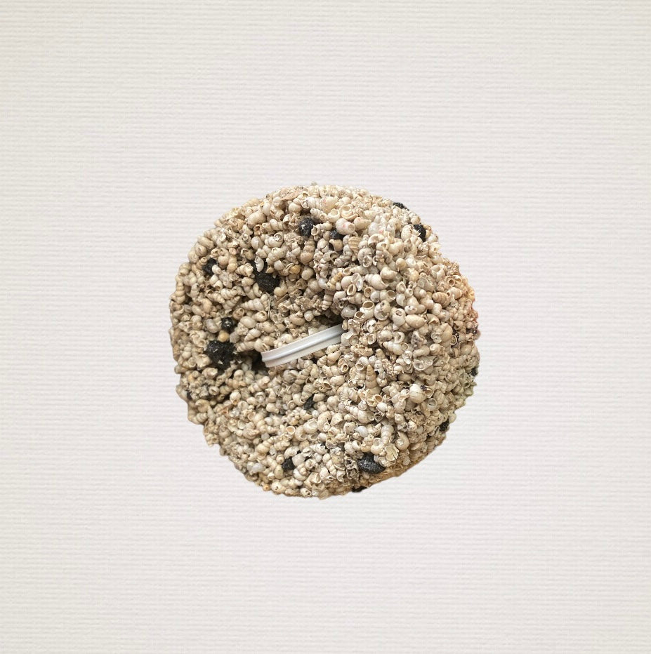 Charcoal Shell Grit Button