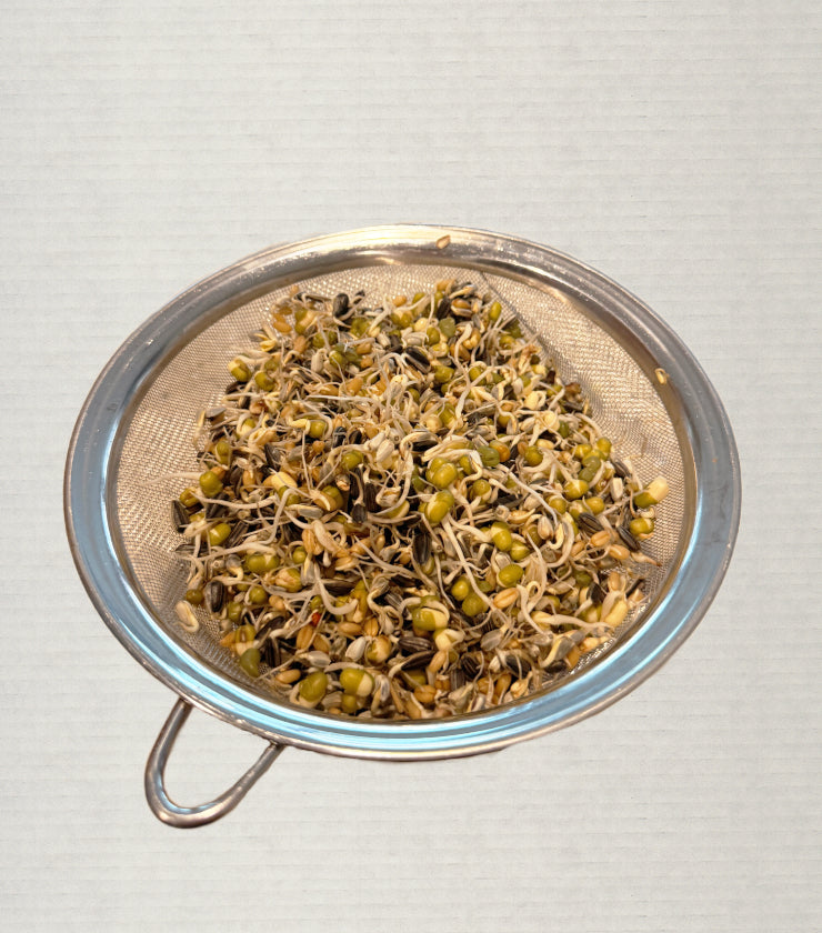 Sprouting Seed Mix