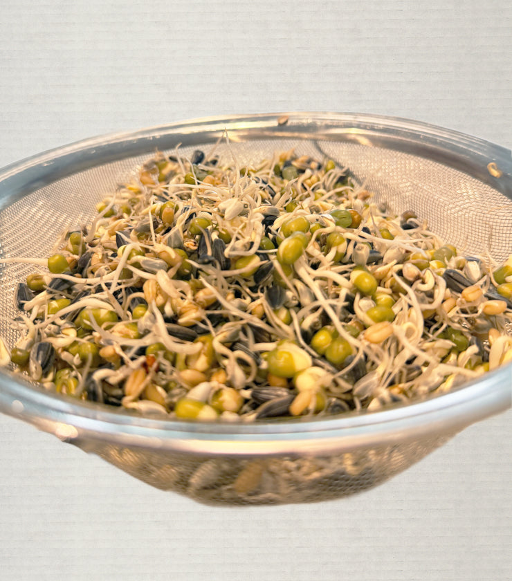 Sprouting Seed Mix
