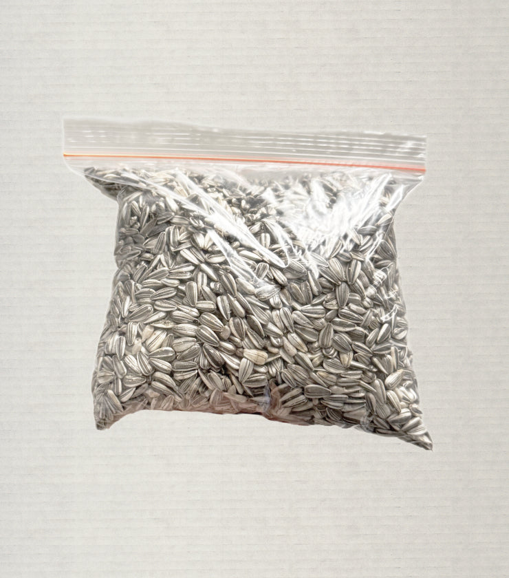 Sunflower Seeds