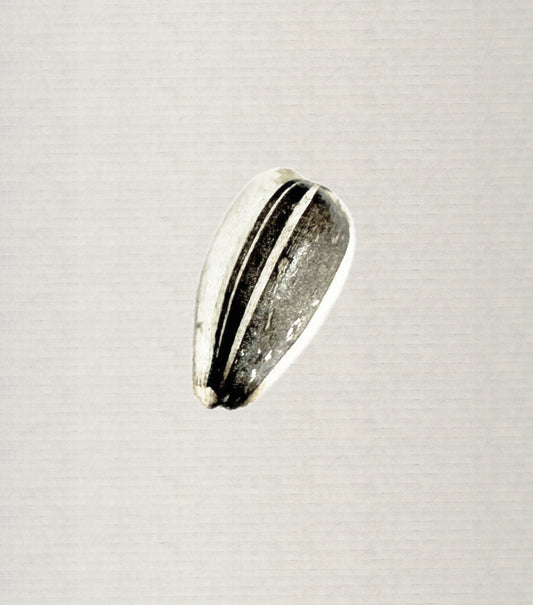 Sunflower Seeds
